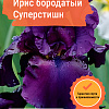 Ирис бородатый Суперстишн фото 4 