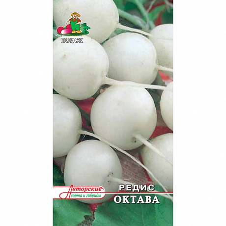 Редис Октава фото Редис Октава 