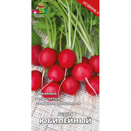 Редис Юбилейный фото Редис Юбилейный 